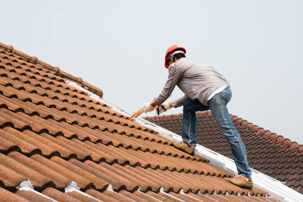 Best Gutter Installation and Repair  in Phillipsburg, GA