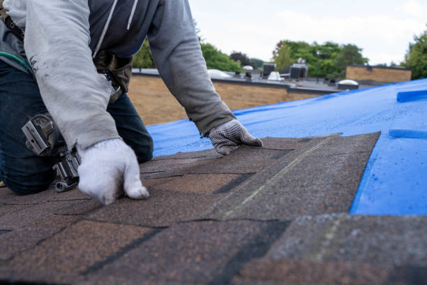 Steel Roofing in Phillipsburg, GA